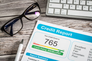 Credit Report Profile